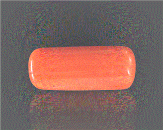 Natural Coral  8.35RTS-27380